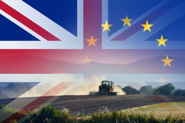 Brexit Farming (1)