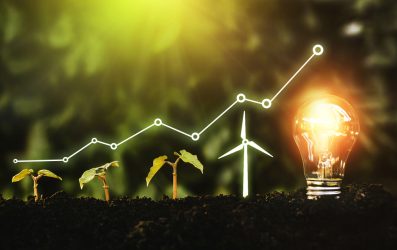 Light,Bulb,Is,Located,On,The,Soil,,And,Plant,Are